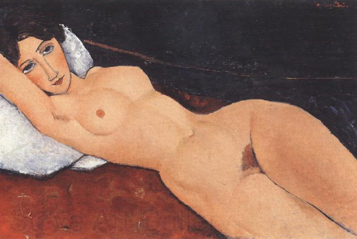 Amedeo Modigliani Reclining Nude on a Red Couch (mk39) Norge oil painting art